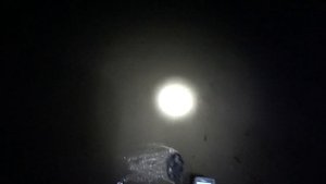 Очередной подводный коп.