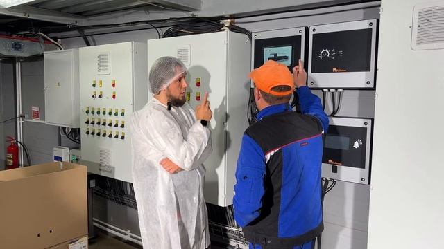 Домашние яйца в производственных масштабах