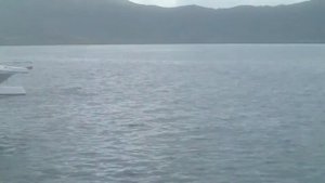 Маврикий, Снорклинг с дельфинами в бухте Тамарин TouriSTories.com