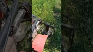 косилка заря в работе на мотоблоке угра
