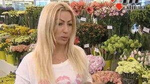 05.03.15 - Кусочек рая: весенняя выставка цветов в Харькове