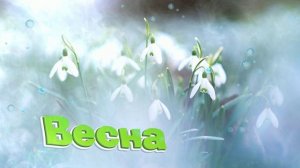 Футаж. Весна 16