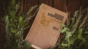 10. Иван Ефремов «Лезвие бритвы» - Часть 2 ЧЕРНАЯ КОРОНА. Глава 1 БЕРЕГ СКЕЛЕТОВ