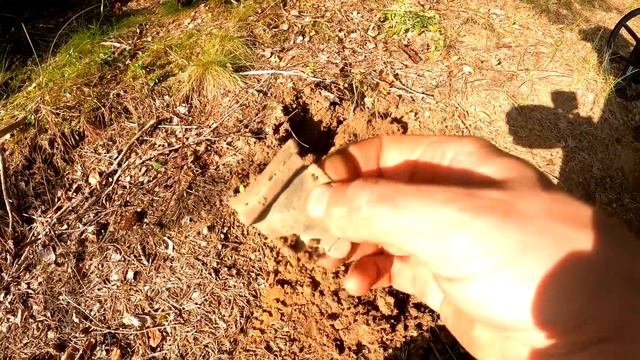 Под грибами НАХОДКИ прут по полной программе! смотреть онлайн