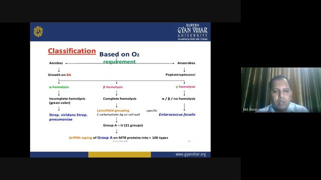 streptococus смотреть онлайн