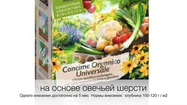 Садовая земляника (клубника). Какие сорта выбрать? Где посадить?Чем кормить? смотреть онлайн