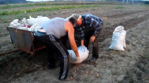 Трактор УД-25. MINI TRAKTOR UD-25.