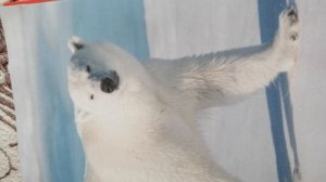 Красная книга россии