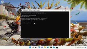 Discord update failed, Windows 11 fix