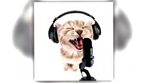 Кира Романова-если изменишь любимый я вырву все твои зубы ||басс||