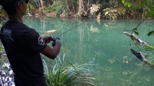 How to catch fish on the Rapala Countdown Elite