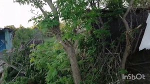 Простой деревянный забор от соседей!!!