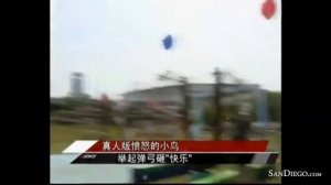 Unofficial Angry Birds theme park in China