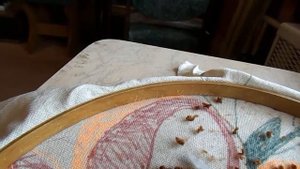 Стрижка ворса ковра