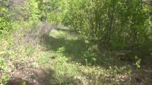 Самарская Лука урочище Каменная Чаша 2019 год.