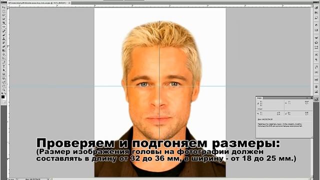 Подогнать Картинку Под Нужный Размер Онлайн