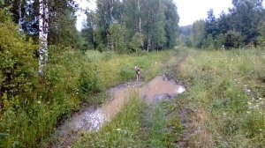 КРАСОТА СИБИРИ. СИБИРСКИЙ ЛЕС ЛЕТОМ.