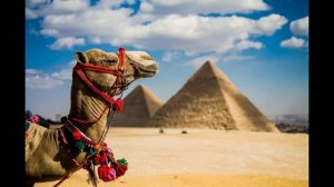 ЕГИПЕТ Авиабилеты! Где и как купить самые дешевые?