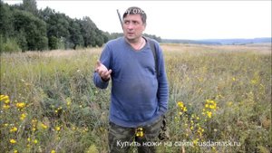 Советы начинающему охотнику на тетерева осенью