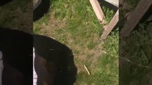 Пуфик из покрышек