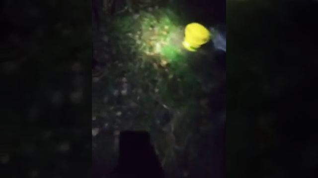 Ночьная рыбалка без наживки