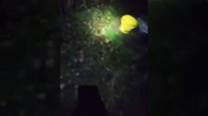 Ночьная рыбалка без наживки