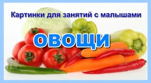 Овощи. Картинки для занятий с малышами