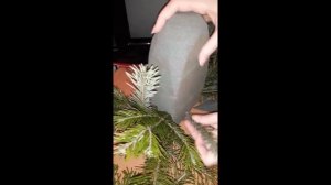 КАК СДЕЛАТЬ ЁЛОЧКУ ИЗ ЖИВЫХ ВЕТОК И ГУБКИ.