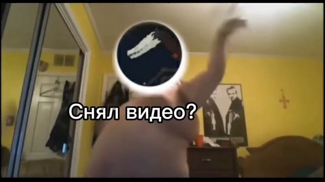 вся правда видео "Взломщик показывает жирный живот" смотреть онлайн