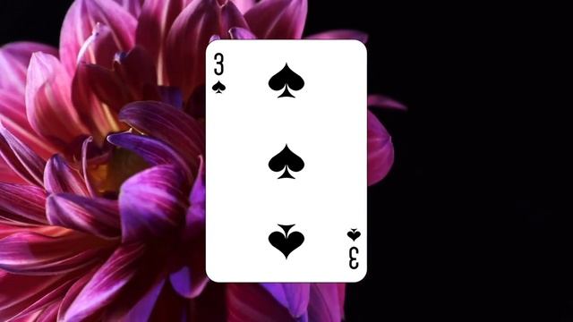 07 марта: Поздравляю, Вы Тройка Пик! смотреть онлайн