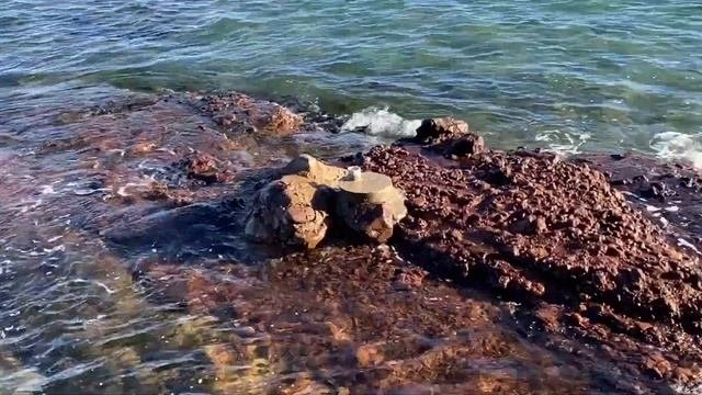 Старинный замок Напуль на берегу моря. Тайны и загадки Франции. #замкифранции #жизньвофранции.