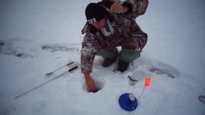 ВИДЕО ОБЗОР ПО РЫБАЛКЕ СО ЛЬДОВ РАМЕНСКОГО РЫБХОЗА