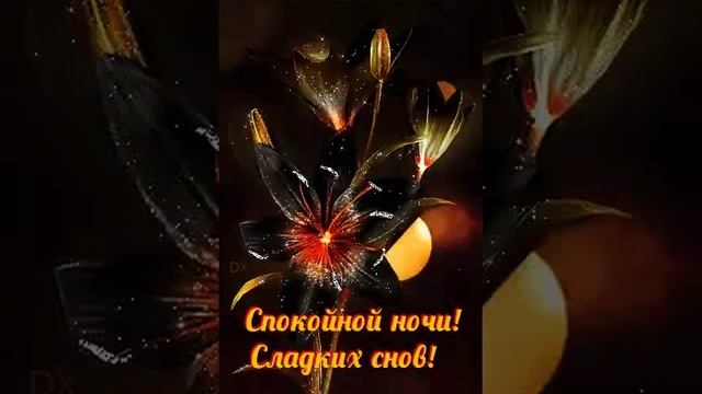 гиф# спокойной ночи# красивый,летний, воздушный