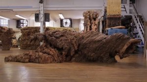 Ursula von Rydingsvard: "Ona" | Art21 "Extended Play"