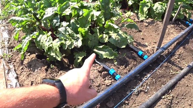 Самый бюджетный автоматический полив на даче. смотреть онлайн