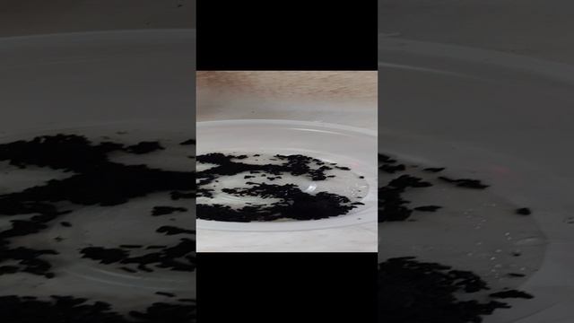 !!? Незванный ГОСТЬ 😠🤚 смотреть онлайн