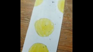 что можно зделать если скучно