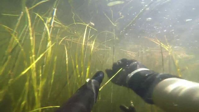 охота в лесном озере 2 смотреть онлайн