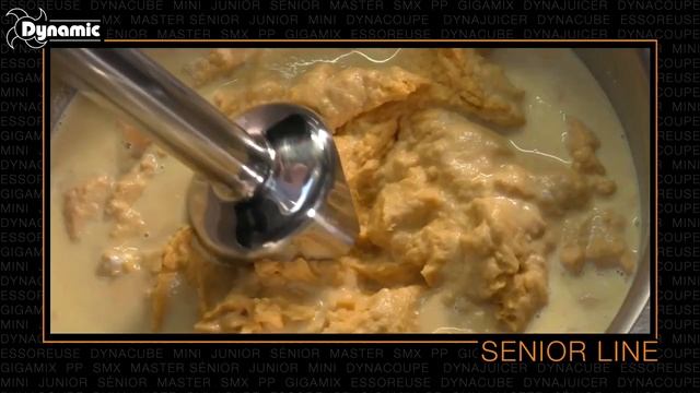 Миксеры погружные Dynamic серии Senior от ПРАЙД ГРУПП смотреть онлайн