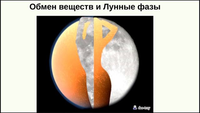 Худеем с астрологией.Надежда Трякшина.26.05.16 смотреть онлайн