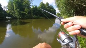 Спиннинг для крупных приманок. Под безынерционную катушку. Nautilus Monster Pike. "Бигбейт с мясом.