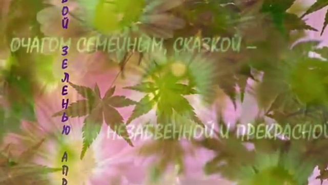 С ДНЕМ РОЖДЕНИЯ ЛАРИСА!!!! смотреть онлайн