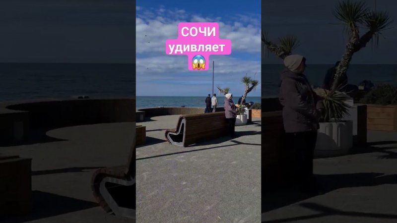 СОЧИ хотели бы здесь учиться? #сочи #всеосочи