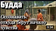 13 Моё мировоззрение основано на моем опыте. #Будда #просветление #самопознание #осознанность