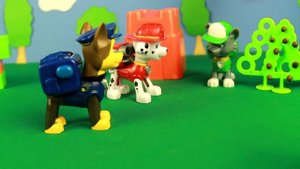 Щенячий патруль играет в прятки - Видео для детей