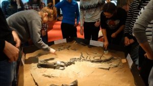 Вятка город детства