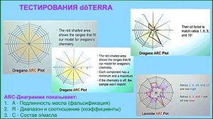 О компании доТЕРРА