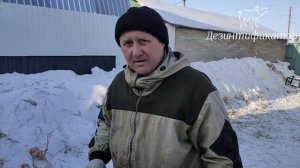 Быстрая разделка свиньи.Снятие шкуры со свиньи.