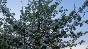 Начинаем стройку!