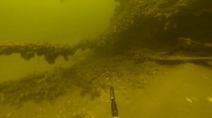 ДУБЛЬ С ИЛЮХОЙ !!!